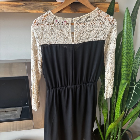 Jealous Tomato Lace and Chiffon Dress - Picture 4 of 5